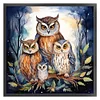 (US Only)Owl Printed Cross Stitch Kit 45x45cm DIY 11CT Thread Art Needlework Home Art