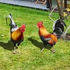 2PCS Chicken Sculpture Ornamental Rooster Decor Garden Statue Acrylic for Easter
