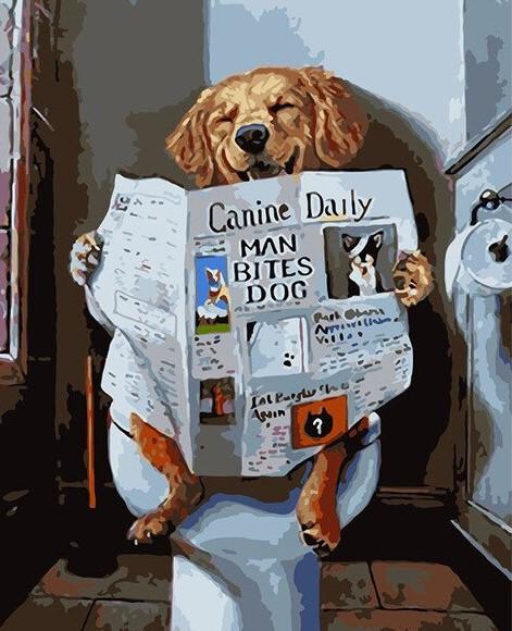 

Dog On Toilet – Paint By Numbers - 40*50CM, 501 Original