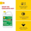 Shellzone Concentrate Antifreeze + Coolant, (1 Gallon, Case of 6)