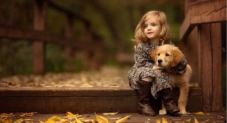 How to help children cope with the sudden death of a family pet