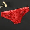Men's Sexy Mesh Thin Briefs