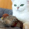 Jouet interactif en peluche d'oiseau simul&eacute; pour chat avec son d'oiseau