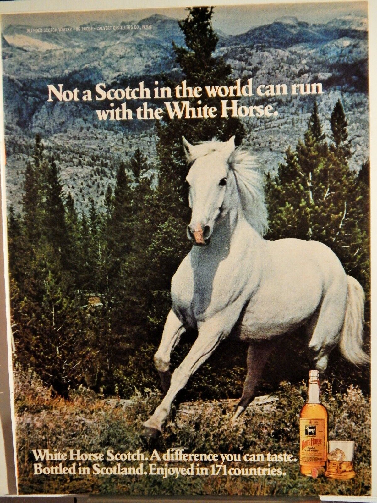 WHITE HORSE SCOTCH WHISKY ORIG. VTG 1977 Photo Poster painting AD,