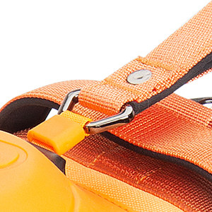 dog harness and leash