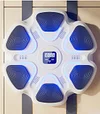Smart Music Boxing Machine Home Electronic Wall Target Adult Children Indoor Reaction Boxing Target Sanda Training Equipment