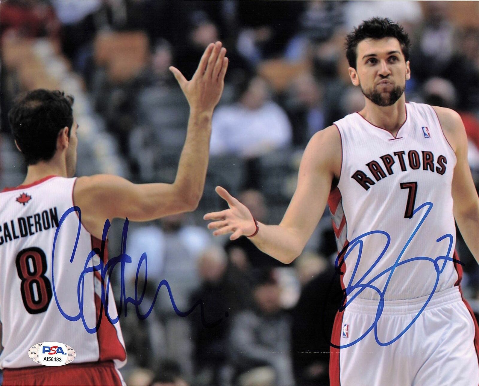 Andrea Bargnani Jose Calderon signed 8x10 Photo Poster painting PSA/DNA Raptors Autographed