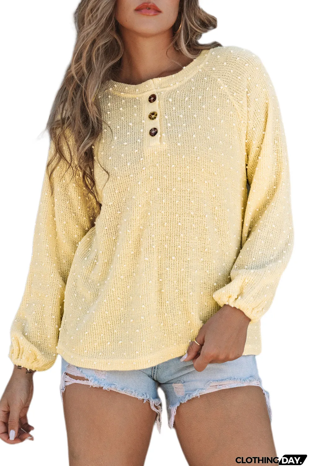 Swiss Dot Raglan Sleeves Knit Top