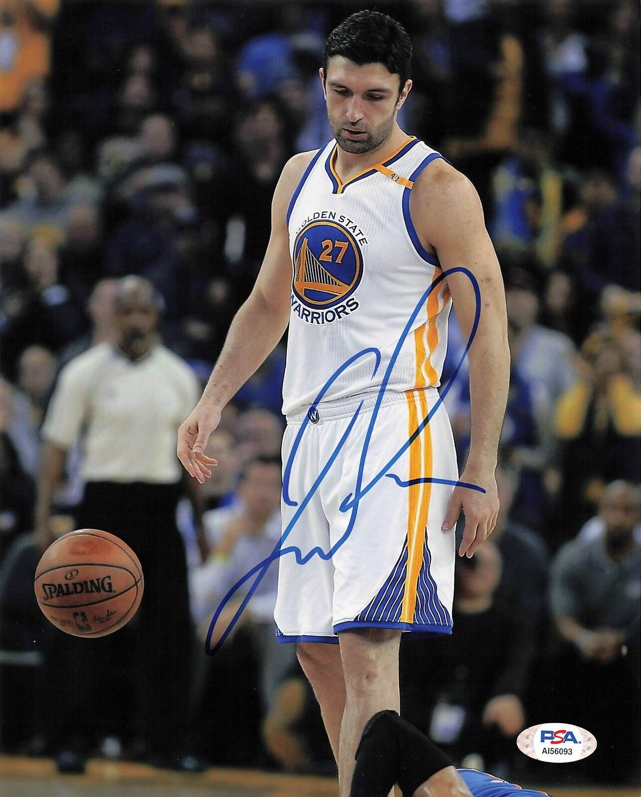 Zaza Pachulia signed 8x10 Photo Poster painting PSA/DNA Golden State Warriors Autographed