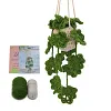 Hanging Potted Plants Crochet Starter Kit with Step-by-Step Instructions and Video Tutorials Complete Crochet Kit for Beginners Decoration 
