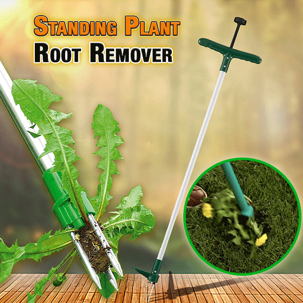 Standing Plant Root Remover (Special Promotion-50% OFF)