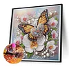 5D DIY Partial Special Shaped Drill Diamond Painting Kit Butterfly Decor 30x30cm (A)