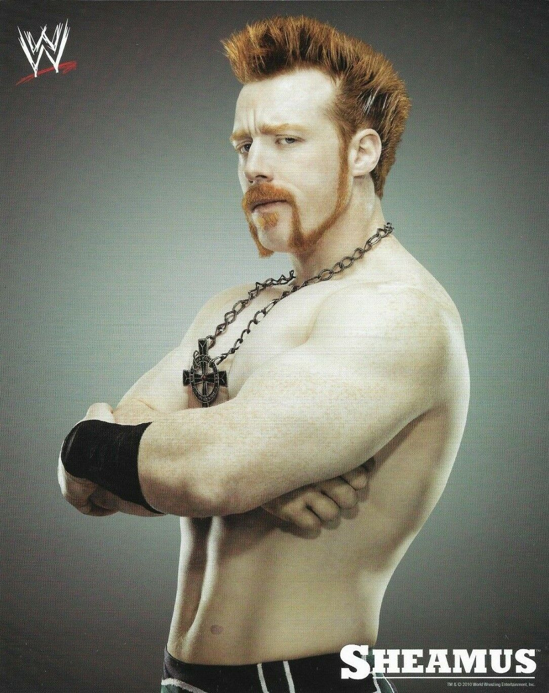 WWE SHEAMUS OFFICIAL LICENSED AUTHENTIC ORIGINAL 8X10 PROMO Photo Poster painting