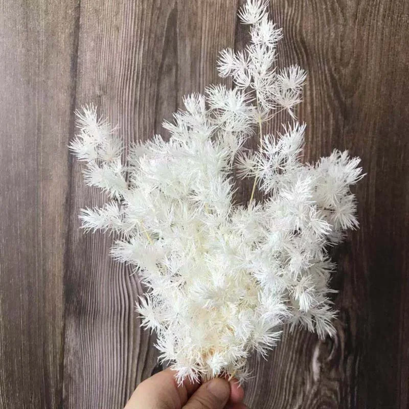 Christmas Gift 10~25CM/20g Dried Natural Fleur Eternelle Plant Asparagus Myriocladus,Preserved Flowers Penglai Pine For Christmas Decorations