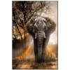 Africa Elephant | Full Round Diamond Painting Kits