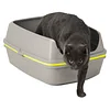 Scoop Free Cat Litter Box, Moderna Lift-to-Sift Grey, Large