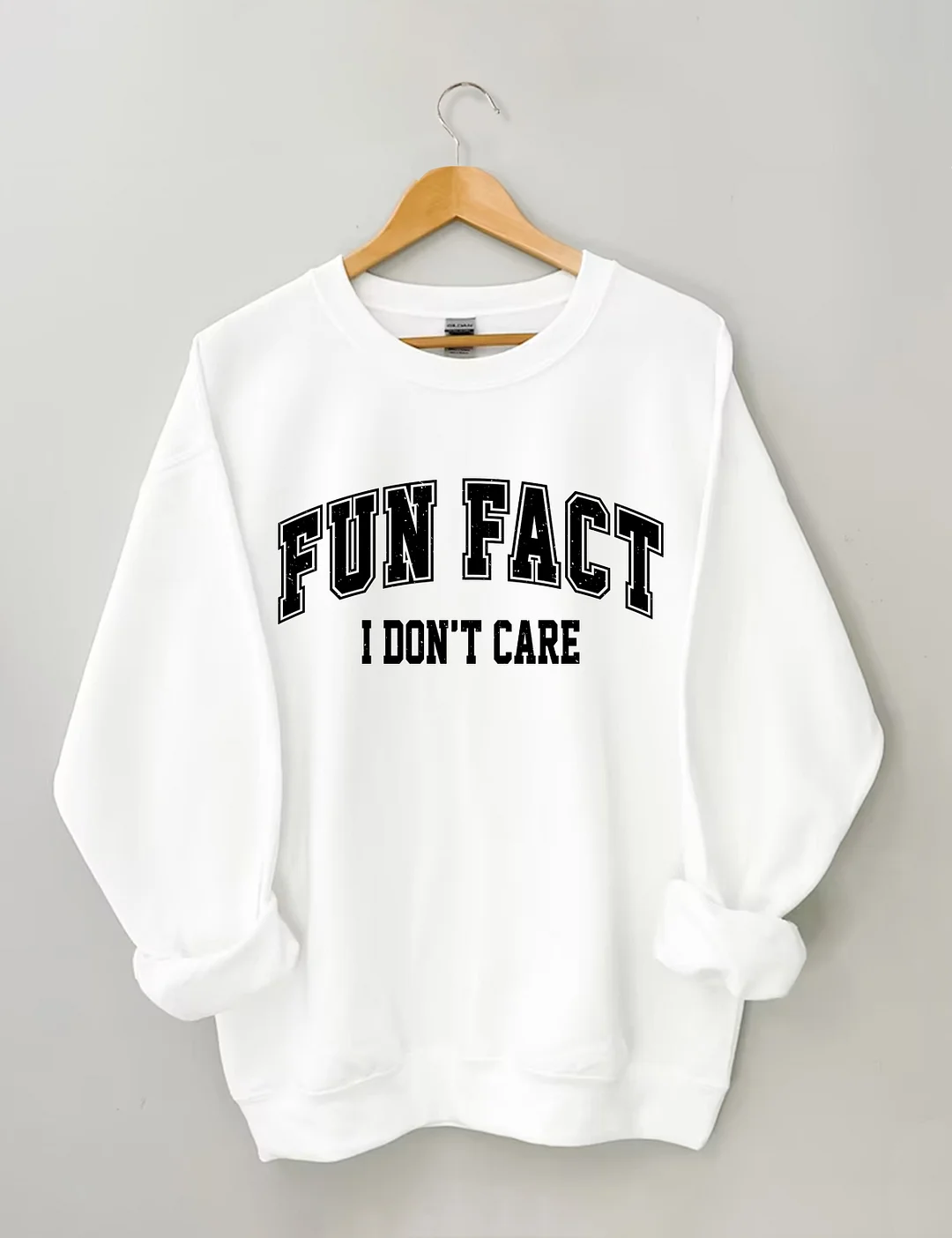 Fun Fact I Don't Care Sweatshirt