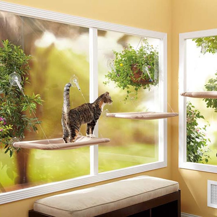 Cat Window Hammock - tree - Codlins