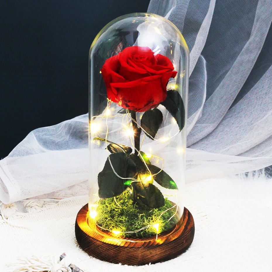 Beatea Preserved Rose with LED Light In Glass Dome