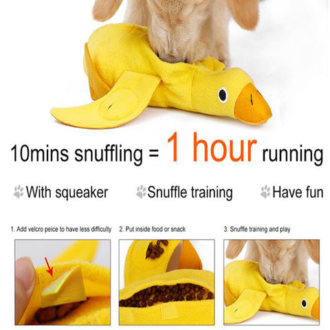 Pet duck toy