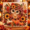 DIY Special Shape Diamond Painting Pearl Art With Inner Frame Kit 30x30cm(Owl Pumpkin)