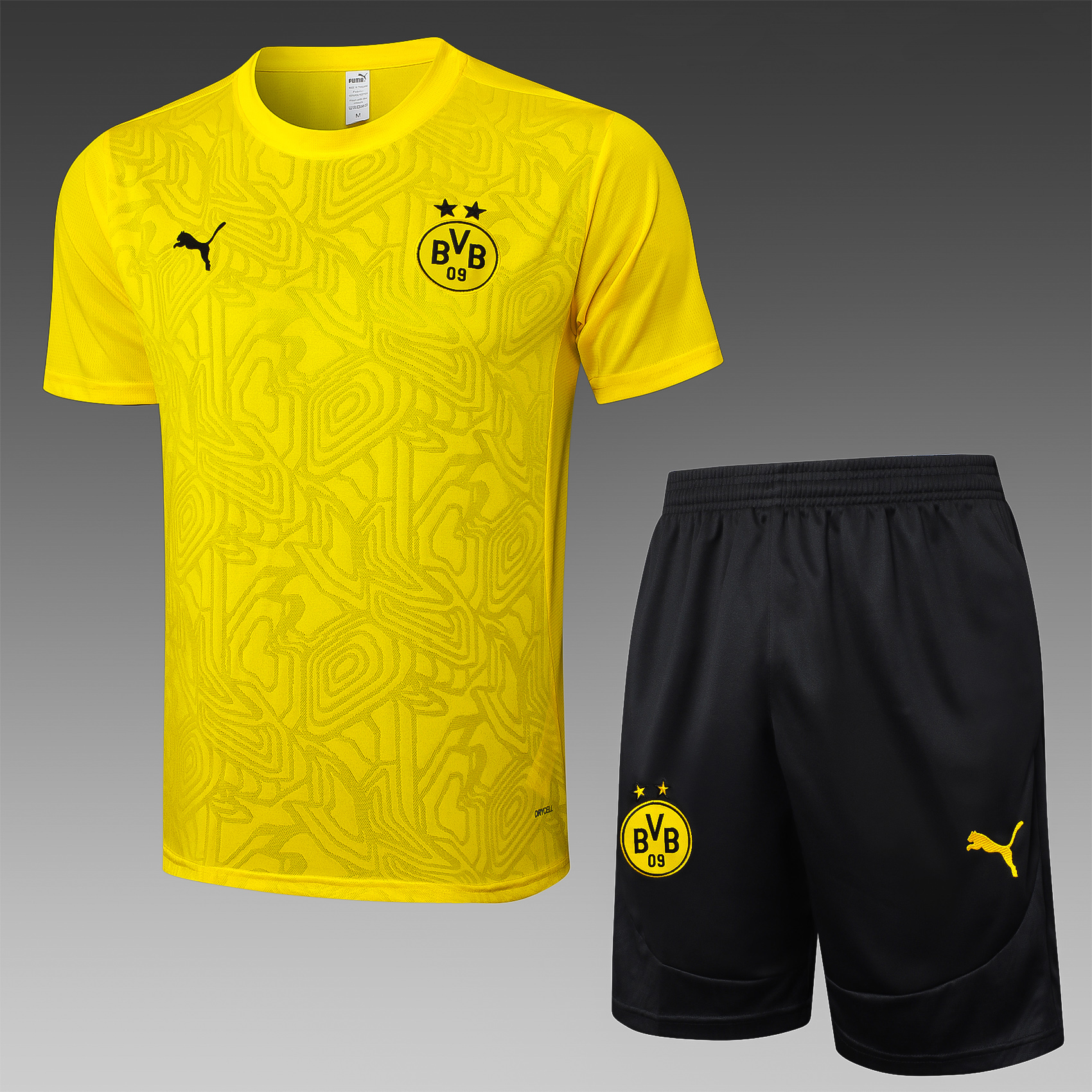24/25-H-BVB-SS-PL-YL-KIT-POLO-A00721