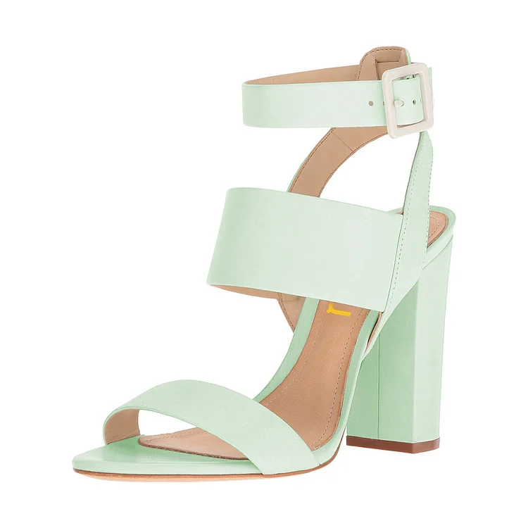 Women's Mint Green Ankle Strap 4 Inches Chunky Heel Sandals |FSJ Shoes