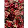 (US Only)Rose Printed Cross Stitch Kit 50x74cm DIY 11CT Thread Art Needlework Home Art