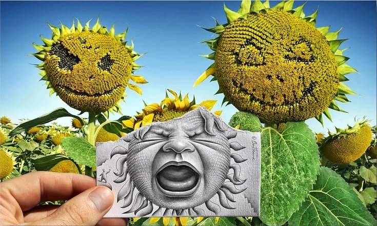 

Touch Of Pen in Sunflowers – Paint By Numbers - 40*50CM, 501 Original