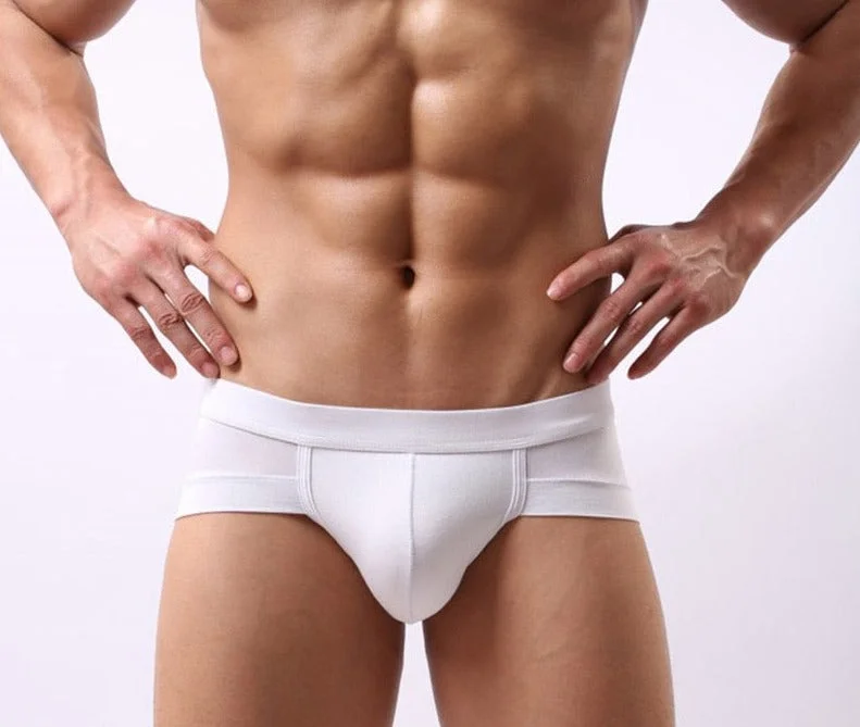 Aonga   Men Briefs Underwear Men's  Breathable Underpants Modal Comfortable Men's Briefs Underwear Shorts Cueca Male Panties