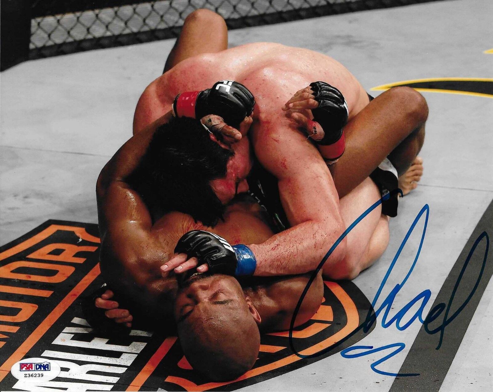 Chael Sonnen Signed UFC 117 148 8x10 Photo Poster painting PSA/DNA COA Anderson Silva Picture 1