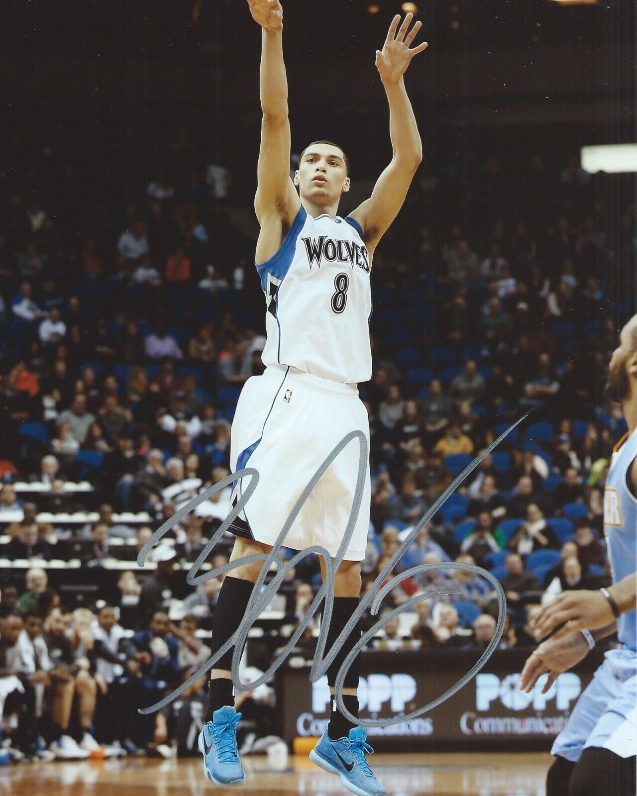 Zach LaVine Signed 8x10 Photo Poster painting Minnesota Timberwolves Autographed COA