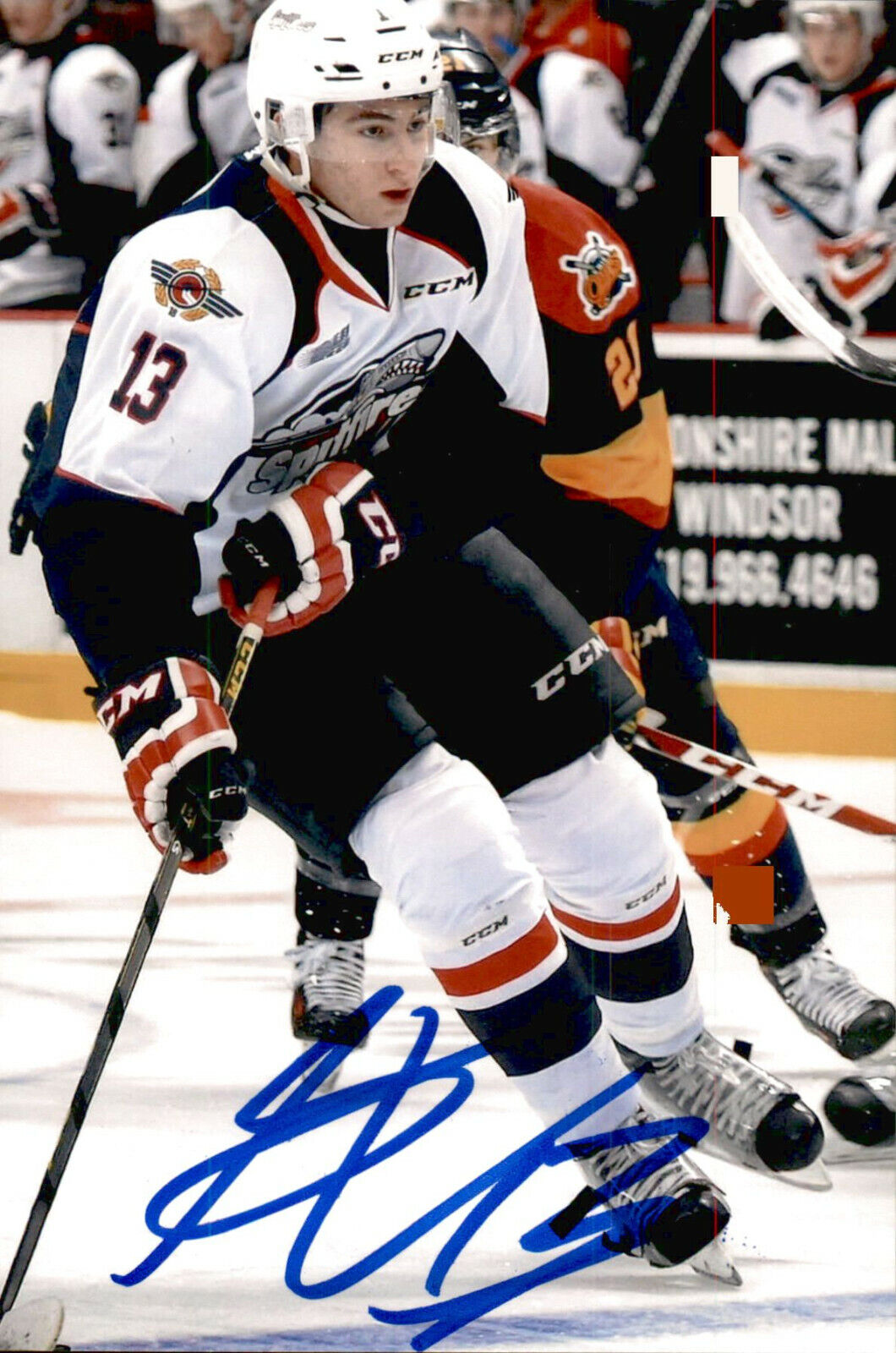 Gabriel Vilardi SIGNED 4x6 Photo Poster painting WINDSOR SPITFIRES / LOS ANGELES KINGS #2