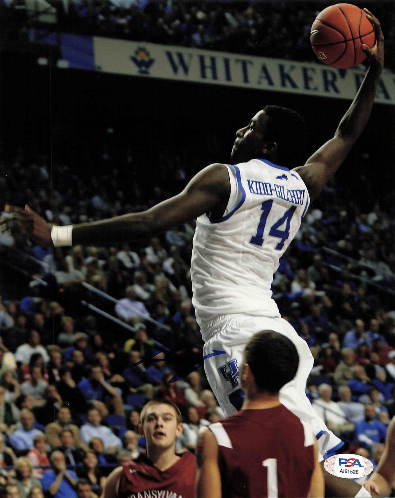 Michael Kidd-Gilchrist signed 8x10 Photo Poster painting PSA/DNA Kentucky Wildcats Autographed