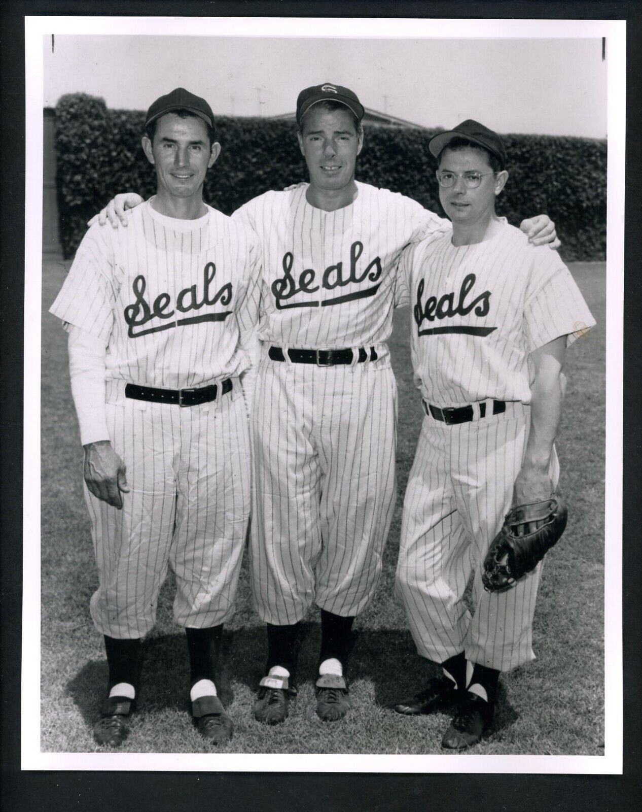 Joe Vince & Dom DiMaggio 1960's Image Type IV Press Photo Poster painting San Francisco Seals