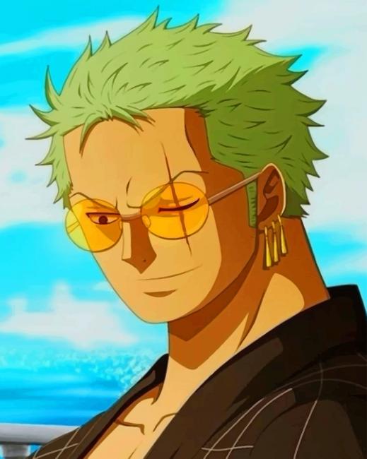 

Zoro One Piece – Paint By Numbers - 40*50CM, 501 Original