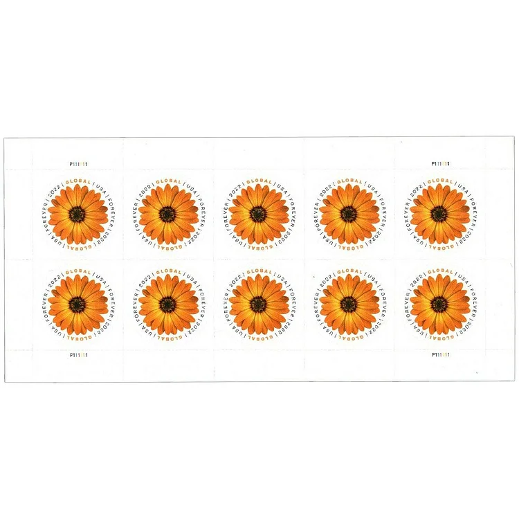 (2022) USPS Global Forever International Mail African Daisy Postage Stamps