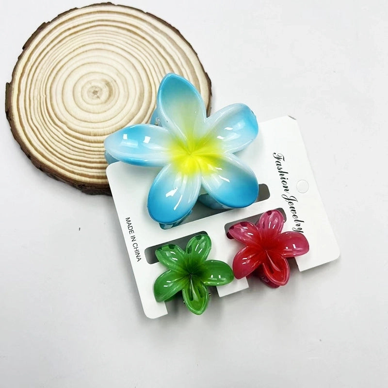 Vacation Modern Style Women’s Flower Resin Hair Claws