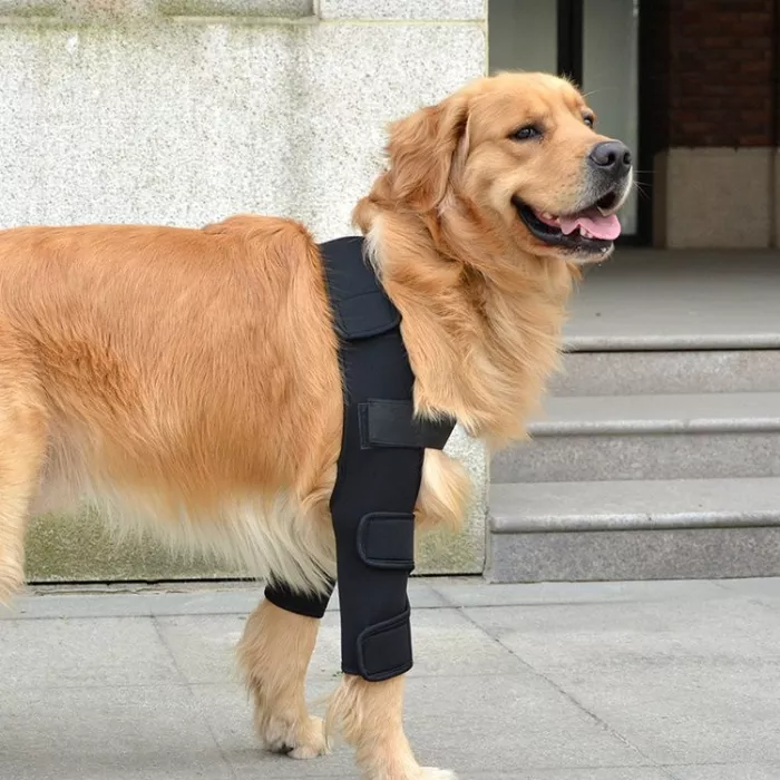 Double Dog Hip Support For Hip Dysplasia For Front or Back Leg Dog Brace