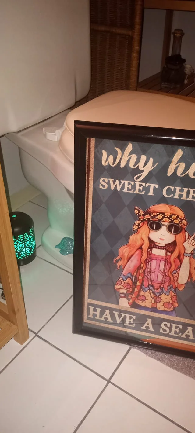 2 Cartoon Sea Turtle Porcelain Toilet Bolt Covers