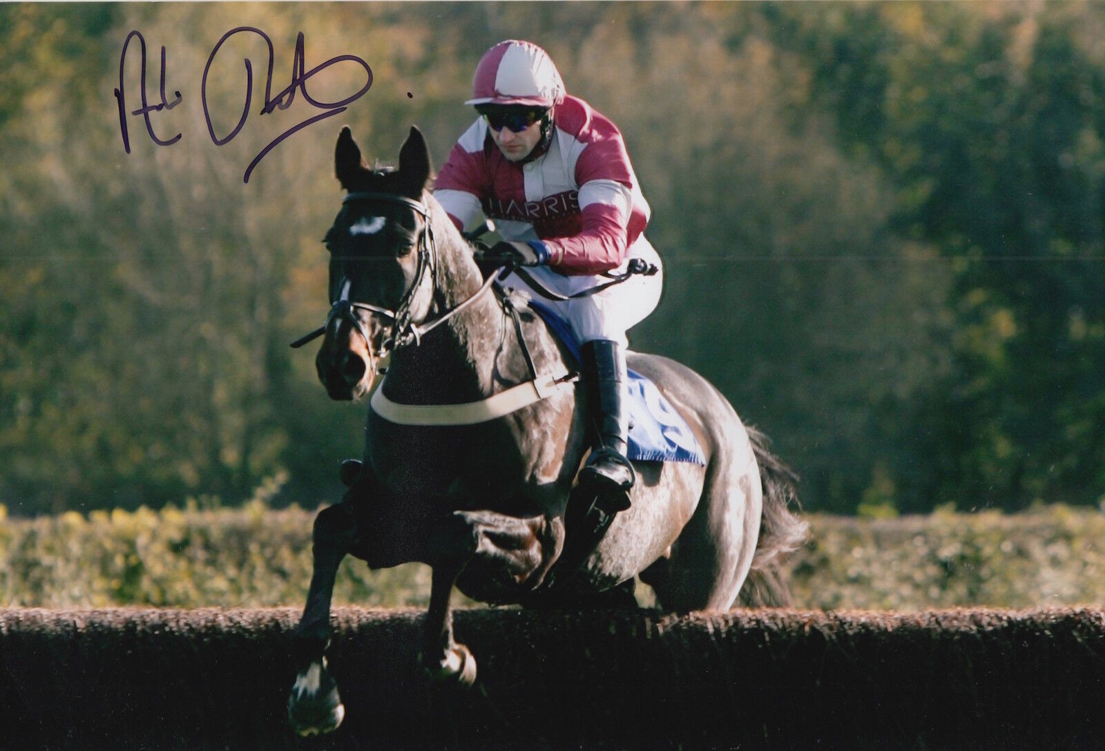 ANDREW THORNTON HAND SIGNED 12X8 Photo Poster painting HORSE RACING.