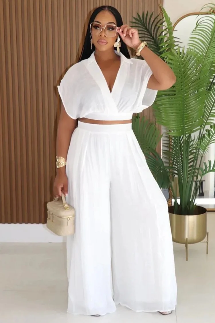 V Neck Dropped Shoulder Blouse Wide Leg Pants 2pcs Set-Pink
