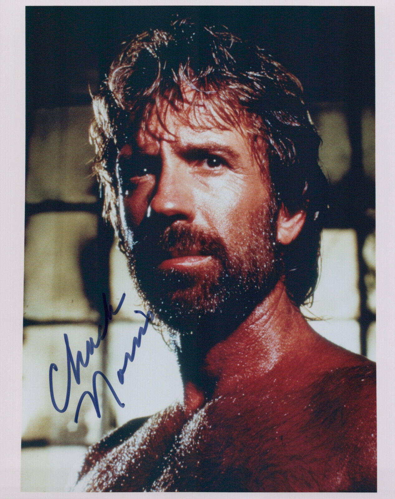 Chuck Norris signed 8x10 Photo Poster painting in-person