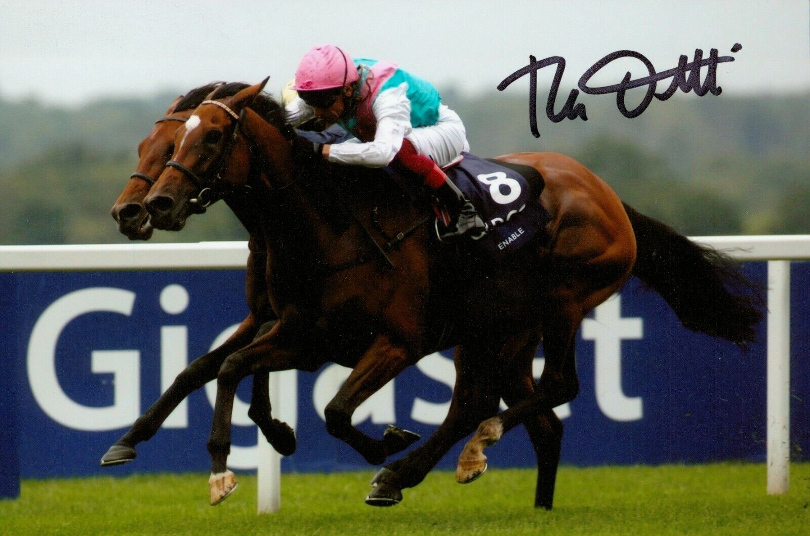 Frankie Dettori Signed 6x4 Photo Poster painting Horse Racing Legend Autograph Memorabilia + COA