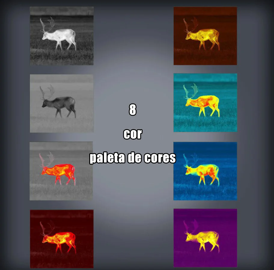 COD Copyright © 2010, jakość QQ:494906791/tag:Cod_web