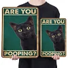 Are You Pooping Cat - Vintage Metal Signs(12*16Inch) - Cat
