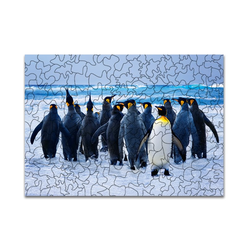 Jeffpuzzle™-JEFFPUZZLE™ Penguin flock Puzzle