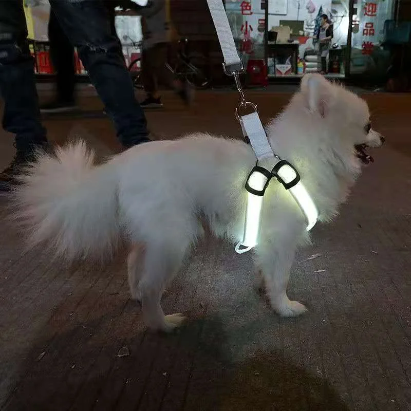 2025 Hot Selling LED Flaring Pet Vest Harness PP Material for Dogs and Cats with Leash Used for Walking the Dog at Night