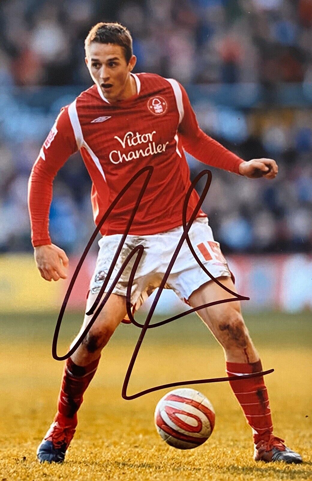 Chris Cohen Genuine Hand Signed 6X4 Photo Poster painting - Nottingham Forrest 4