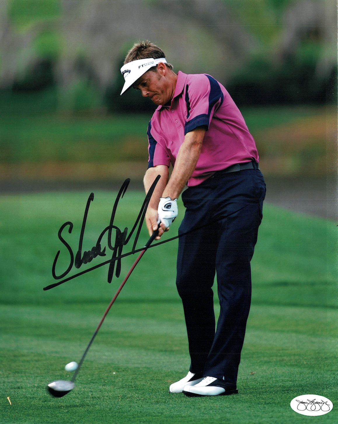 Stuart Appleby signed autographed 8x10 Photo Poster painting! RARE! JSA Authenticated! 7542